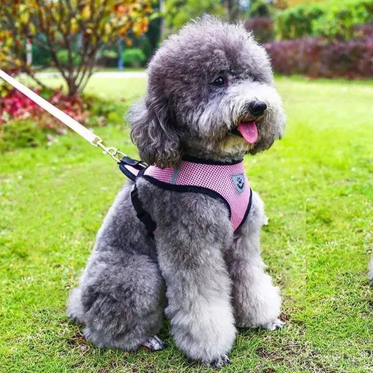 Harnais Petit Chien | PuppyHarness™ - Rose