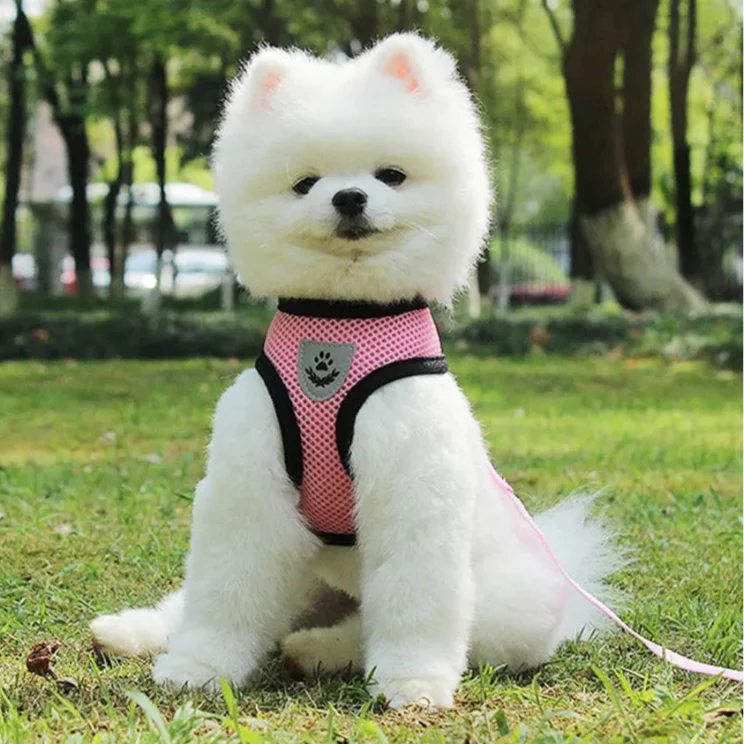 Harnais Petit Chien | PuppyHarness™ - Rose