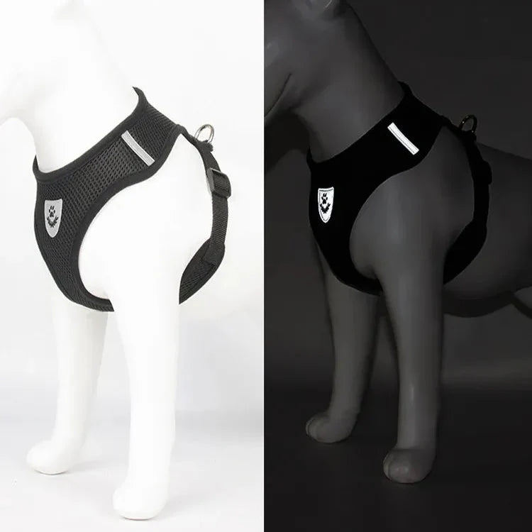 Harnais Petit Chien | Puppy Harness™ - Noir