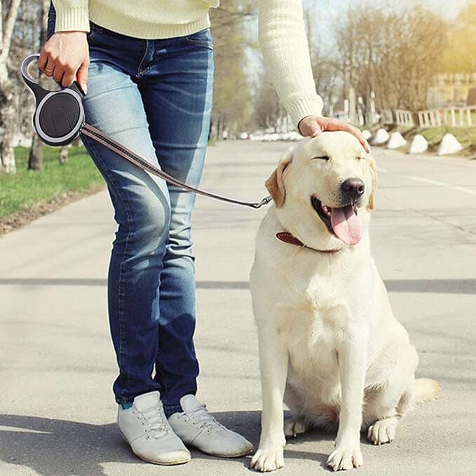 Laisse pour chien | MaxLeash™ - Noir