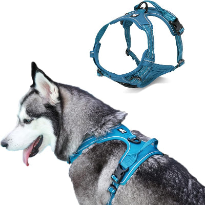 Harnais anti traction chien | PullFree™ - Bleu