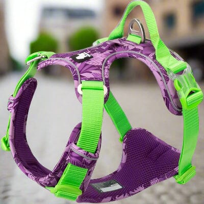 Harnais anti traction chien | PullFree™ - Camouflage Mauve