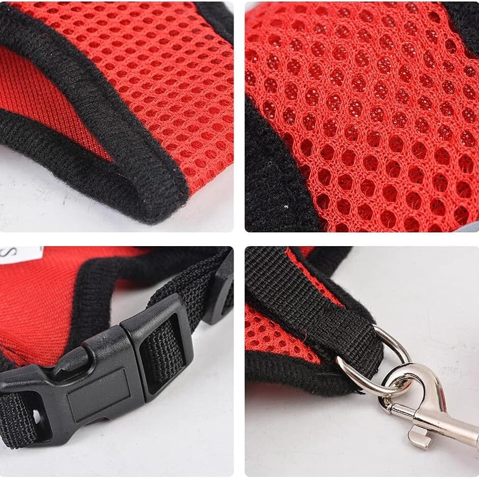 Harnais Petit Chien | PuppyHarness™ - Rouge