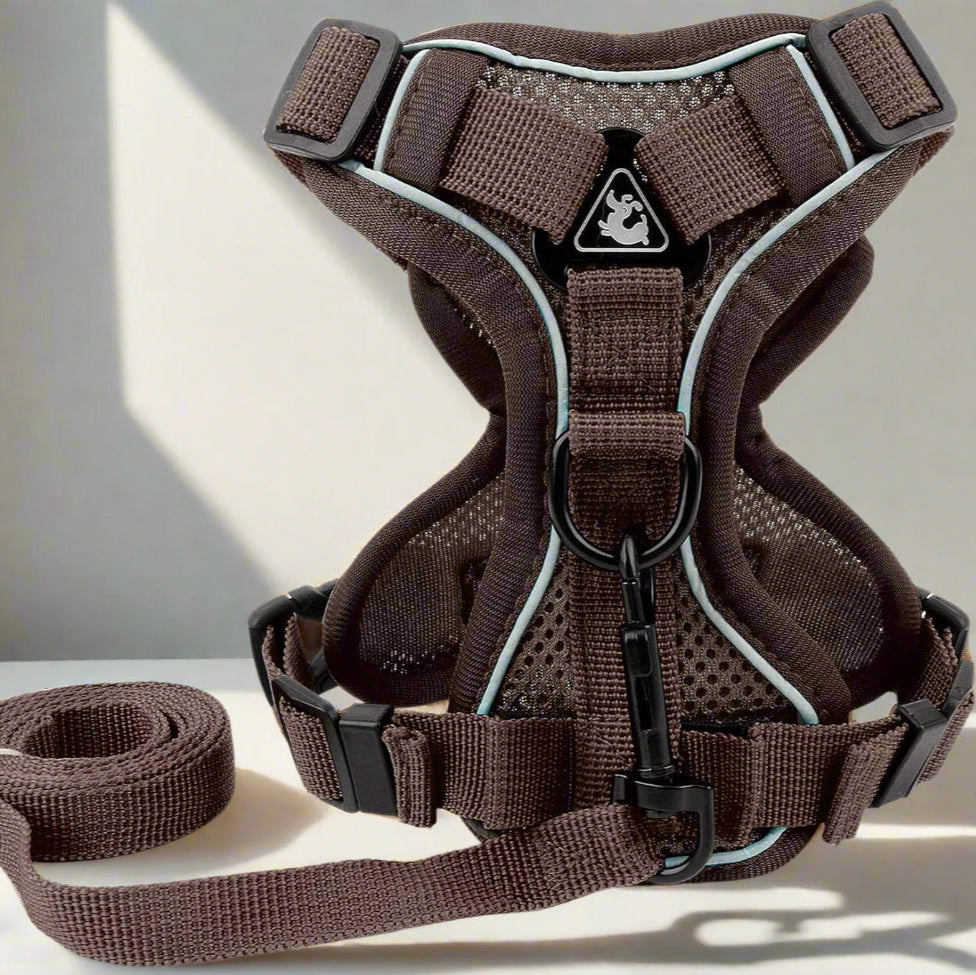 Harnais Petit Chien | DoogyHarness™ - Café