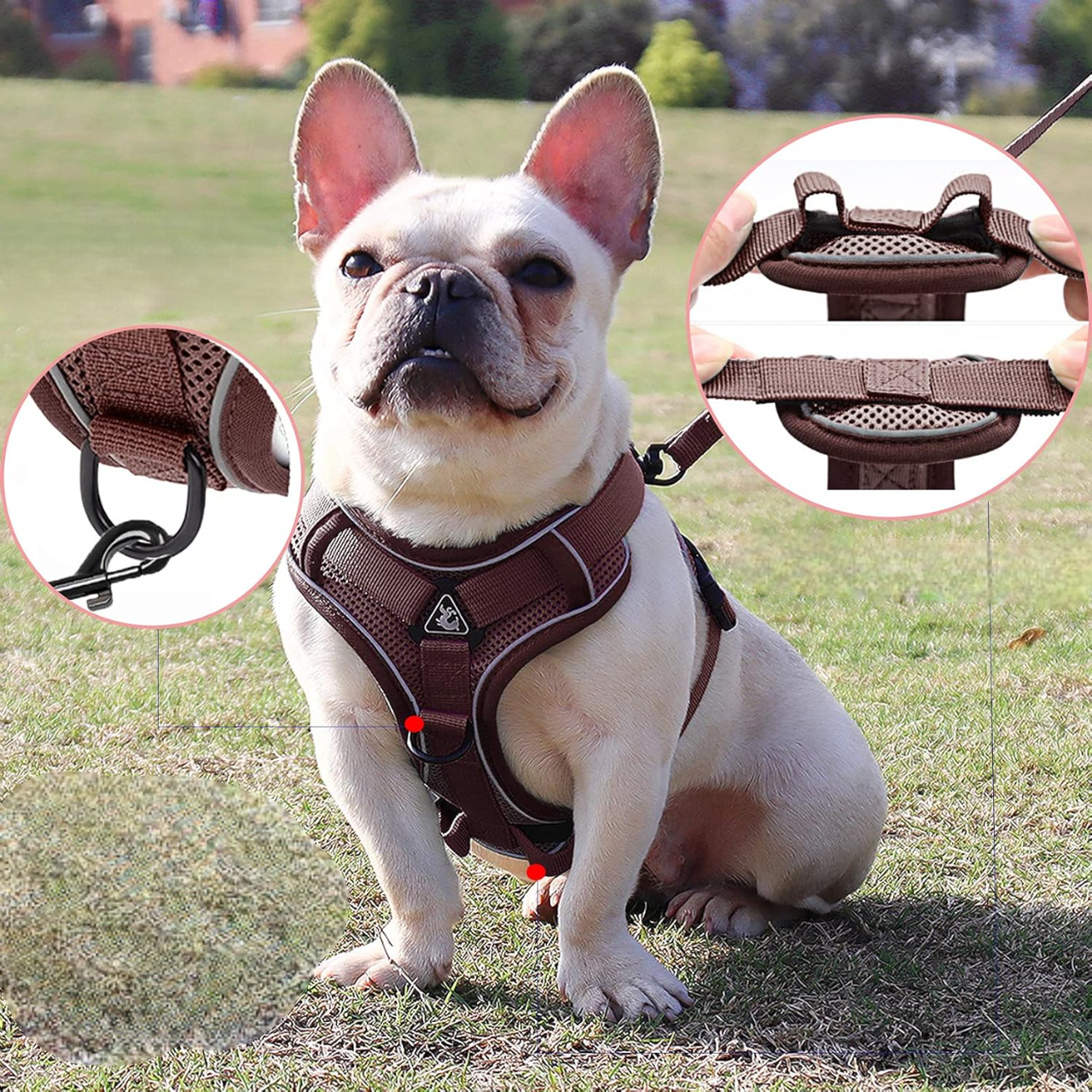 Harnais Petit Chien | DoogyHarness™ - Café