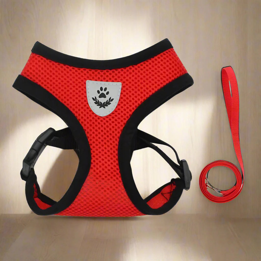 Harnais Petit Chien | Puppy Harness™ - Noir