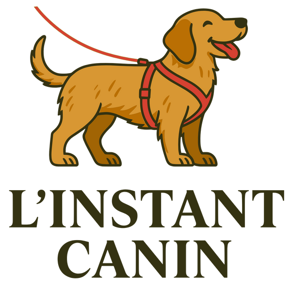 L'instant canin