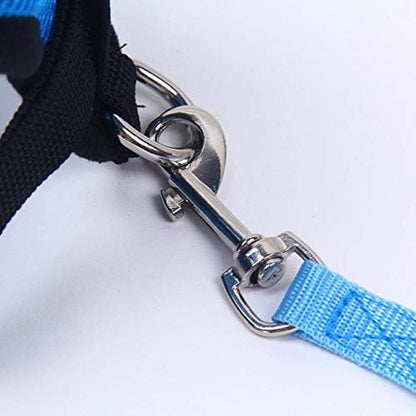 Harnais Petit Chien | PuppyHarness™ - Bleu