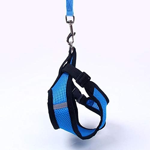 Harnais Petit Chien | PuppyHarness™ - Bleu