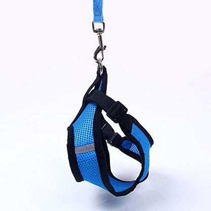 Harnais Petit Chien | PuppyHarness™ - Bleu