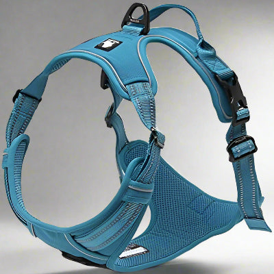 Harnais anti traction chien | PullFree™ - Bleu