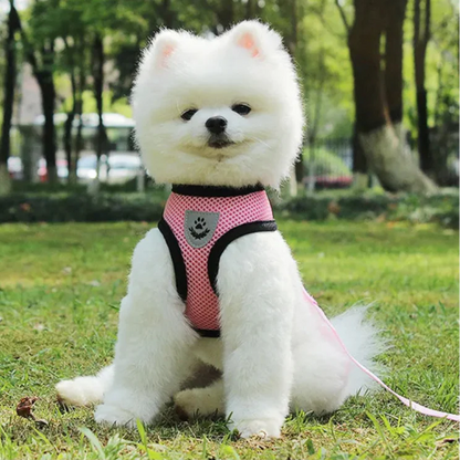 Harnais Petit Chien | PuppyHarness™ - Rose