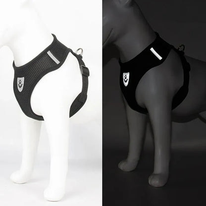 Harnais Petit Chien | Puppy Harness™ - Noir