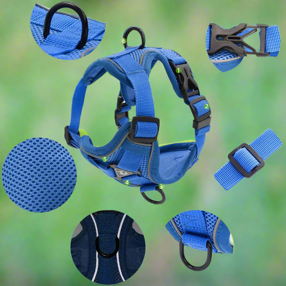 Harnais Petit Chien | DoogyHarness™ - Bleu