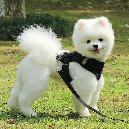 Harnais Petit Chien | Puppy Harness™ - Noir