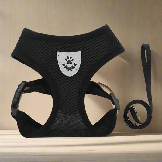 Harnais Petit Chien | Puppy Harness™ - Noir