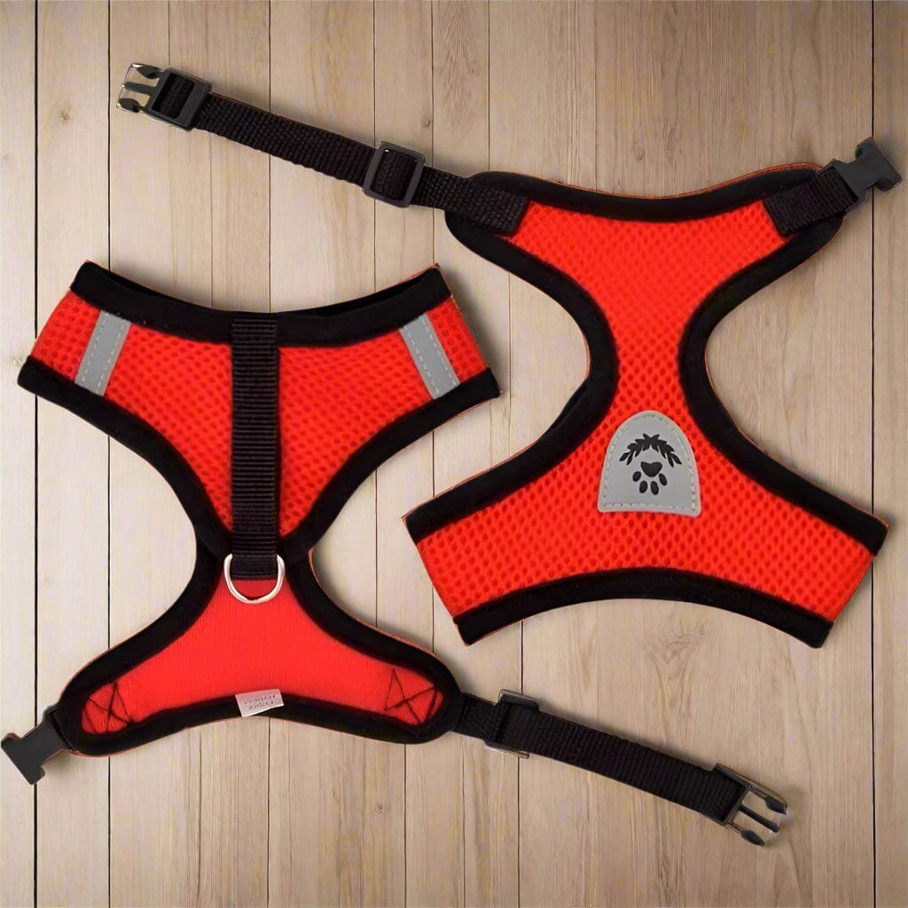 Harnais Petit Chien | PuppyHarness™ - Rouge
