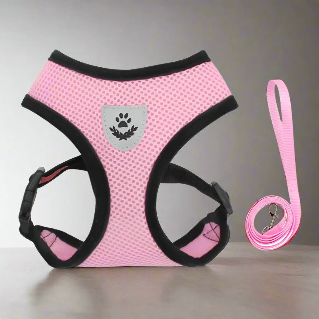 Harnais Petit Chien | Puppy Harness™ - Noir