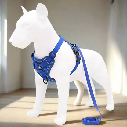 Harnais Petit Chien | DoogyHarness™ - Bleu