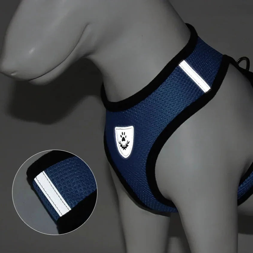 Harnais Petit Chien | PuppyHarness™ - Bleu